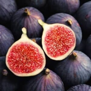 Fig - Black Genoa