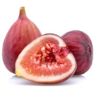 Fig Dwarf - Sweet Temptation